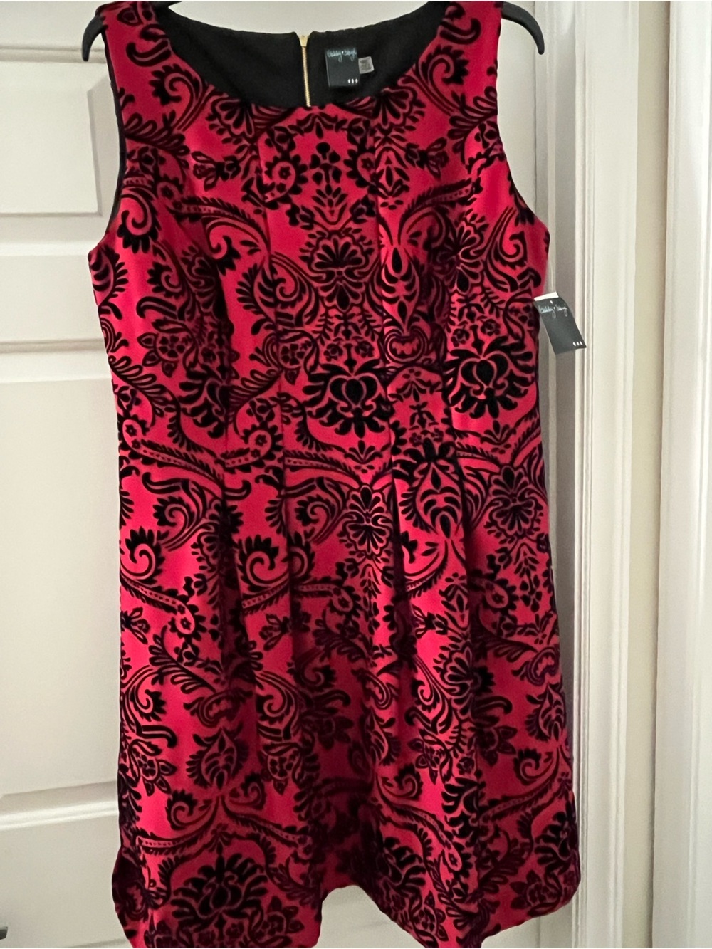 Gabby Skye Red Velvet Sleeveless Fit & Flare Dress (NWT)